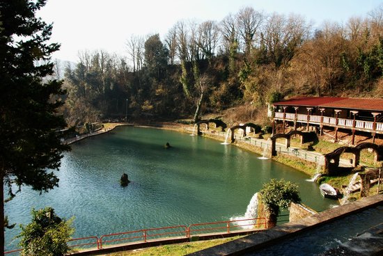 Foto Parco Laghi Dei Reali